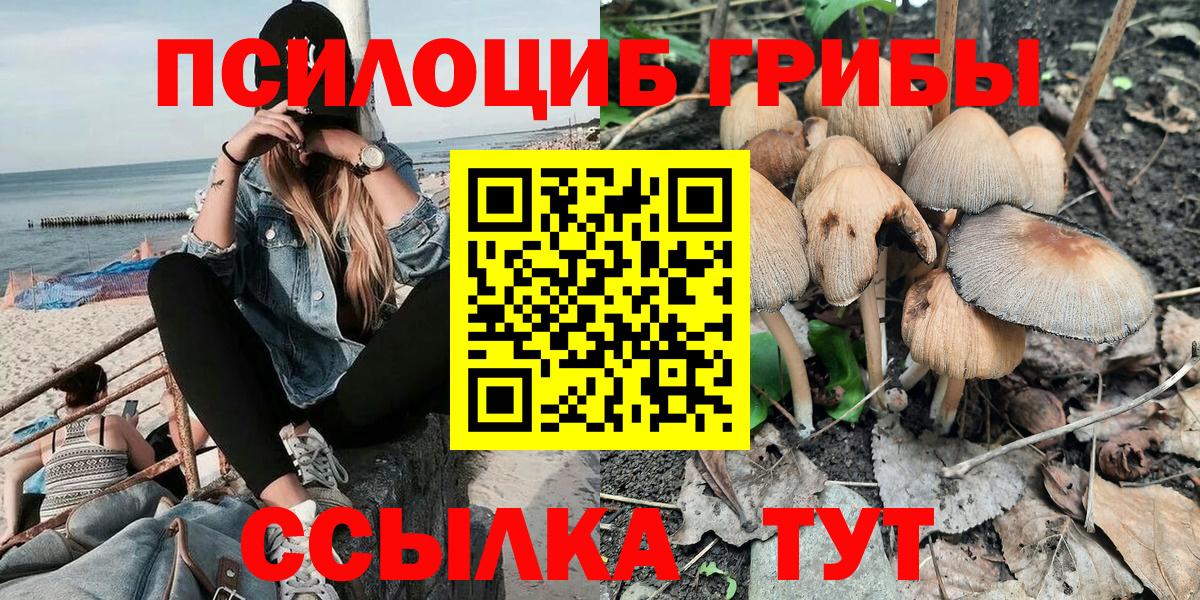 Кировск  где продают наркотики  Вход с VPN  Псилоцибиновые грибы мицелий 