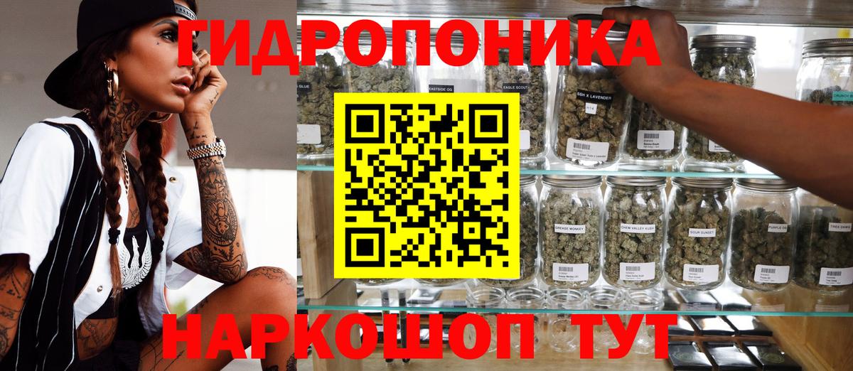 Марихуана план  Вход с VPN  Кировск  Шишки марихуана Ganja 